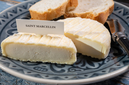 French cheeses collection, Saint-Marcellin cow's milk cheese with white mold from RhÃ´ne-Alpes region of France close upの写真素材