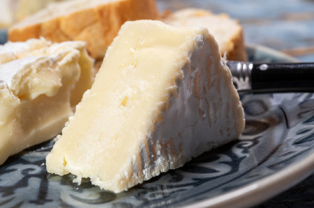 French soft Camembert cheese, original Camembert de Normandie, piece, close up with white moldの写真素材