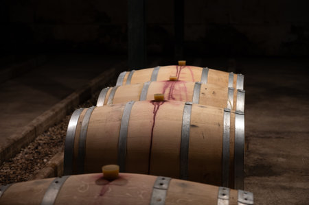 Wine celler with french oak barrels for aging of red wine made from Cabernet Sauvignon grape...