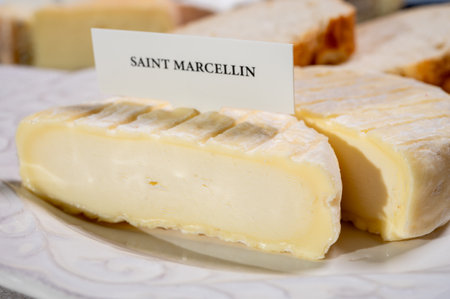 French cheeses collection, Saint-Marcellin cow's milk cheese with white mold from RhÃ´ne-Alpes region of France close upの写真素材