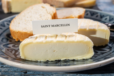 French cheeses collection, Saint-Marcellin cow's milk cheese with white mold from RhÃ´ne-Alpes region of France close upの写真素材