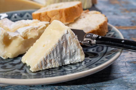 French soft Camembert cheese, original Camembert de Normandie, piece, close up with white moldの写真素材