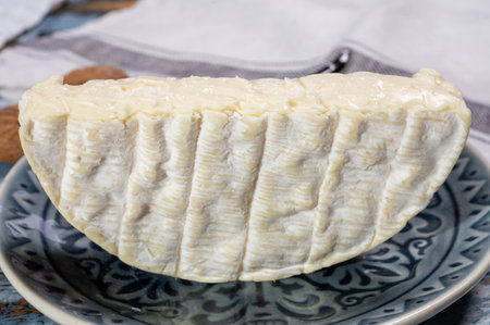 French soft Camembert cheese, original Camembert de Normandie, piece, close up with white moldの写真素材