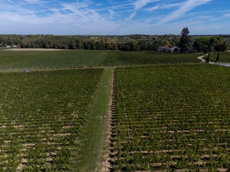 Aerial view on Pomerol village, production of red Bordeaux wine, Merlot or Cabernet Sauvignon red...