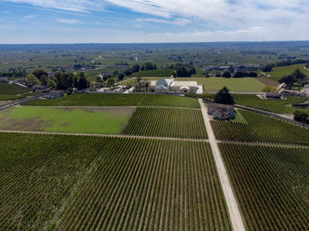 Aerial views of green vineyards, old houses and narrow hilly streets of medieval town St. Emilion, production of red Bordeaux wine on cru class vineyards in Saint-Emilion wine making region, France, Bordeauxの写真素材