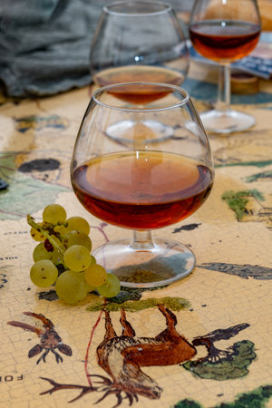 Tasting glass of Cognac strong alcohol drink in Cognac region, Charente, Franceの写真素材