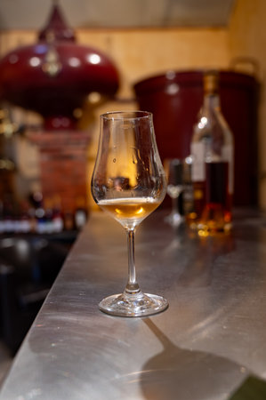 Tasting of cognac spirit aged in old dark French oak barrels in cellar in distillery house, Cognac white wine region, Charente, Segonzac, Grand Champagne, Franceの写真素材