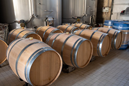 French oak wooden barrels for aging red wine in cellar, Saint-Emilion wine making region picking, sorting with hands and crushing Merlot, Cabernet Sauvignon red wine grapes, France, Bordeauxの写真素材