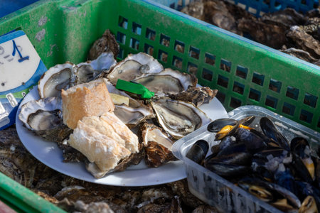 Fresh catch of French Gillardeau oysters molluscs in wooden box ready to eat close upの写真素材