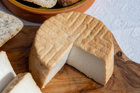 Cheese collection, piece of round fresh smoked Spanish goat cheese close upの写真素材