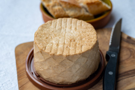 Cheese collection, piece of round fresh smoked Spanish goat cheese close upの写真素材