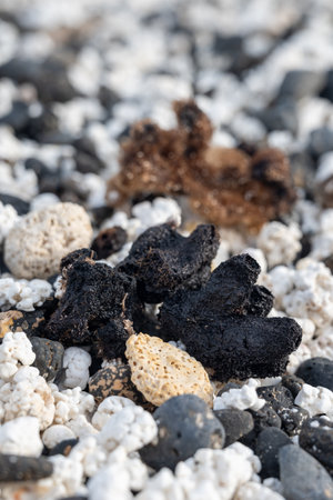 White popcorn shaped corals and sea shells on white corals beach in Corralejo, Fuerteventura, Canary islands, Spain, travel destination in winterの写真素材