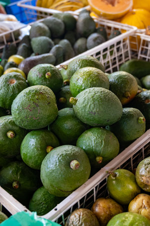 Fresh ripe green avocados, tropical fruits and vegetables on farmers market on Fuerteventura, Canary islands, Spainの写真素材
