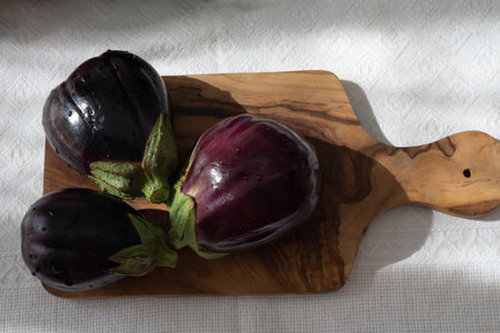 Raw young eggplants vegetables from organic vegetables farm on Fuerteventura island, Canary islands, Spainの写真素材