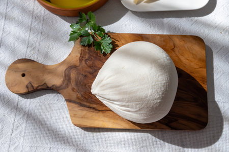 Freshly strained white soft goat cow sheep milk cheese, young Spanish cheese, close-upの写真素材