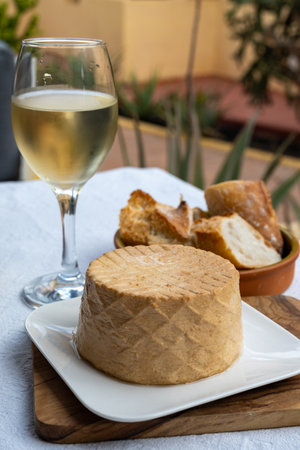 Cheese collection, piece of round fresh smoked Spanish goat cheese close upの写真素材