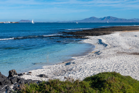 Walking on sea promenade in Corralejo town along white popcorn beach with white corals, black rocks, blue water, Fuerteventura, Canary islands, Spainの写真素材