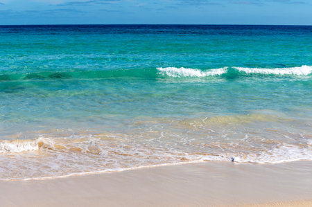 Caleta del bajo, corralejo grandes playas white sandy beaches with blue water near Corralejo...