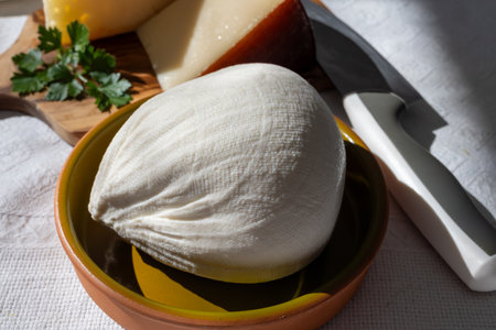 Freshly strained white soft goat cow sheep milk cheese, young Spanish cheese, close-upの写真素材