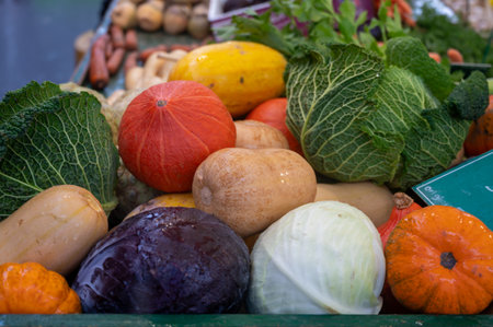 Farmers outdoor market with seasonal winter organic root vegetables, pumpkins, cool, carrotsの写真素材