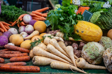 Farmers outdoor market with seasonal winter organic root vegetables, pumpkins, cool, carrotsの写真素材