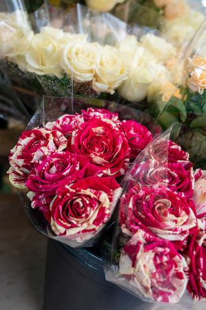 Many different roses in bouquets for sale in floral boutique shop in Franceの写真素材