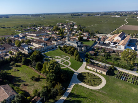 Harvest time on green vineyards, wine domain or chateau in Haut-Medoc red wine making region, Bordeaux, left bank of Gironde Estuary, Franceの写真素材