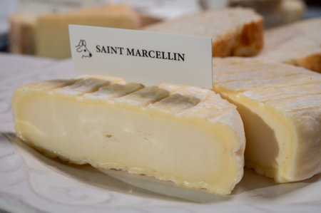 French cheeses collection, Saint-Marcellin cow's milk cheese with white mold from RhÃ´ne-Alpes region of France close upの写真素材