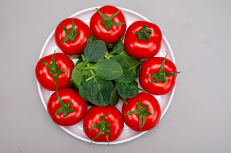 Red ripe tasty Dutch tomatoes growing indoor in greenhouse all seasons, food industry in Netherlands, close upの写真素材