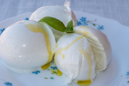 Cheese collection, white balls of soft Italian cheese mozzarella, served with olive oil, fresh basil leaves close upの写真素材