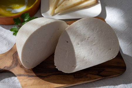 Freshly strained white soft goat cow sheep milk cheese, young Spanish cheese, close-upの写真素材