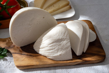 Freshly strained white soft goat cow sheep milk cheese, young Spanish cheese, close-upの写真素材