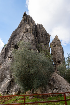 View on natural Monument Campo Soriano and olive trees, Lazio, Italy in winterの写真素材