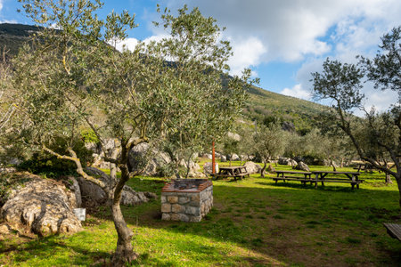 View on natural Monument Campo Soriano and olive trees, Lazio, Italy in winterの写真素材
