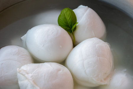 Cheese collection, many fresh white balls of soft Italian cheese mozzarella, on organic cheese farm, Latina, Italyの写真素材