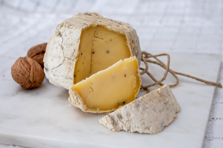 Italian small piece of hard cheese truffleino romano with black summer truffles mushrooms close upの写真素材