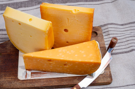 Cheese collection, Dutch ripe hard cheeses made from cow milk in the Netherlands close upの写真素材