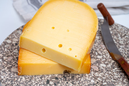 Cheese collection, Dutch ripe hard cheeses made from cow milk in the Netherlands close upの写真素材