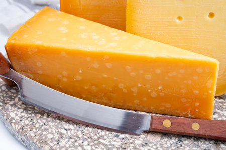 Cheese collection, Dutch ripe hard cheeses made from cow milk in the Netherlands close upの写真素材