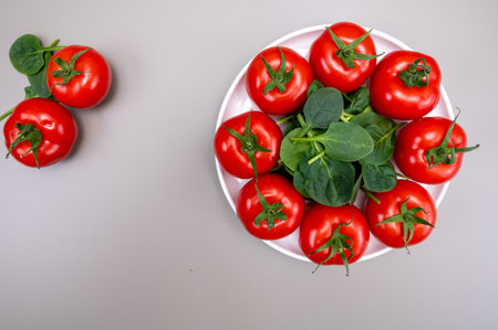 Red ripe tasty Dutch tomatoes growing indoor in greenhouse all seasons, food industry in Netherlands, close up copy spaceの写真素材
