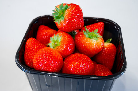 New spring harvest, one box of ripe Dutch red sweet strawberry on farmer market in the Netherlands, close up on white backgroundの写真素材