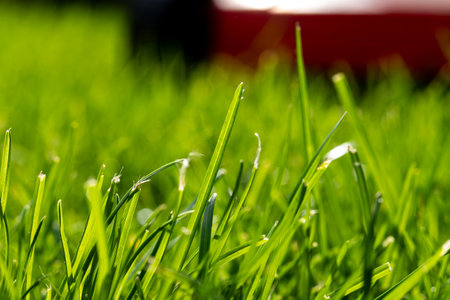 Seasonal maintenance works in garden, lawn movers in action, green grass cutting, lawn care, English lawn, garden keeping backgroundの写真素材