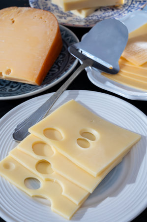 Swiss cheese collection, yellow emmentaler or emmental cheese with round holes sliced close upの写真素材