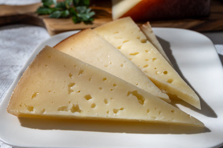 Spanish hard manchego, cow, sheep and goat cheese close upの写真素材