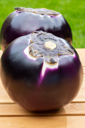 Fresh ripe purple globe Violetta eggplants vegetables from Sicily ready to cook, healthy Italian foodの写真素材
