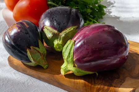 Raw young eggplants vegetables from organic vegetables farm on Fuerteventura island, Canary islands, Spainの写真素材
