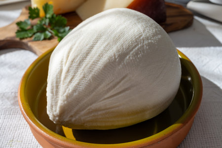 Freshly strained white soft goat cow sheep milk cheese, young Spanish cheese, close-upの写真素材