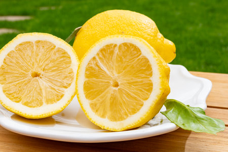Fresh ripe organic yellow Italian lemons from Sorrento, new harvestの写真素材