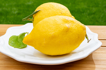 Fresh ripe organic yellow Italian lemons from Sorrento, new harvestの写真素材