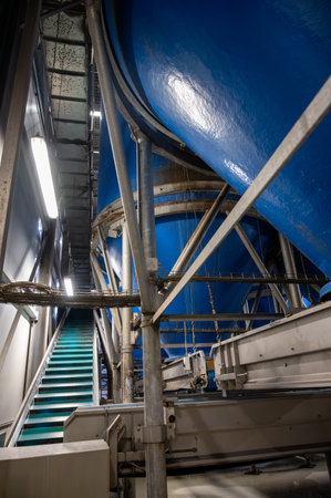 Fresh vegetables processing equipment after harvesting, storage, sorting, washing, cutting, packing, agriculture in the Netherlandsの写真素材